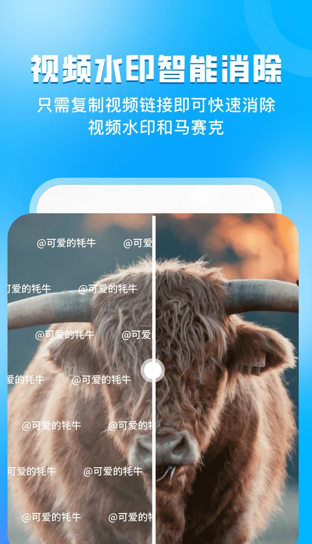 指尖虚拟摄像头