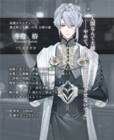 梦幻楼与不眠之蝶