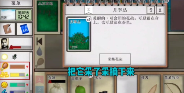 卡牌生存热带岛屿