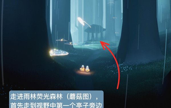 光遇先祖位置攻略