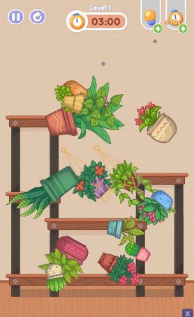 整理大师