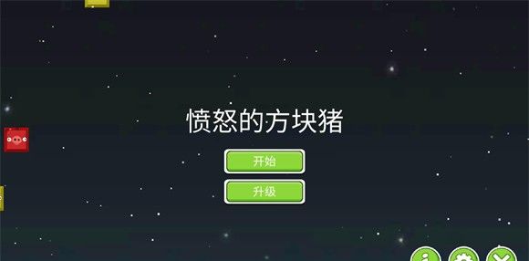 愤怒的方块猪
