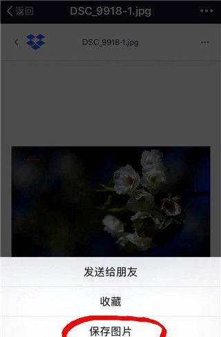 dropbox免费空间版