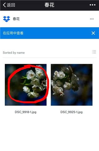 dropbox免费空间版