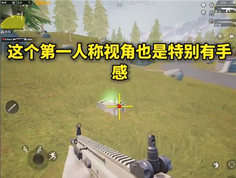 画质mxpro官方版