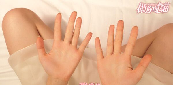 《做你的猫》官方版