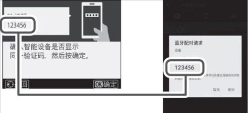 尼康相机