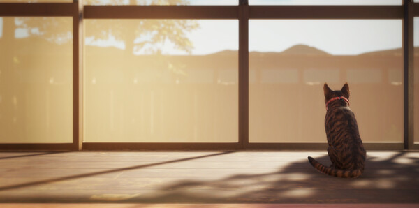 《猫还在逃吗？》官方版