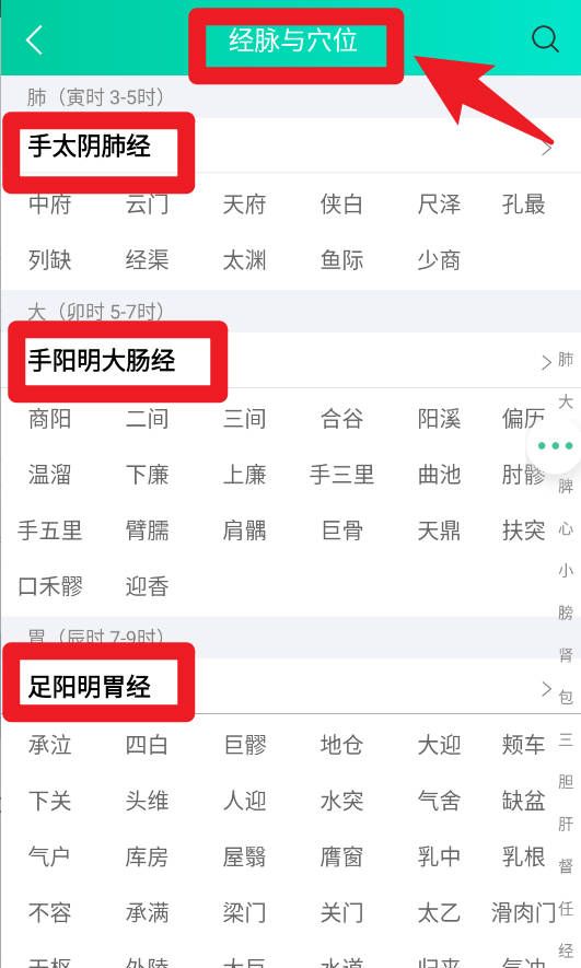 经络穴位图解手机版