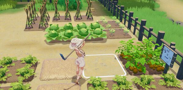 《星砂岛》官方版