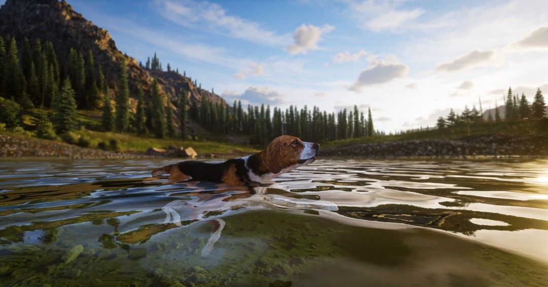 《狩猎之道2》官方版