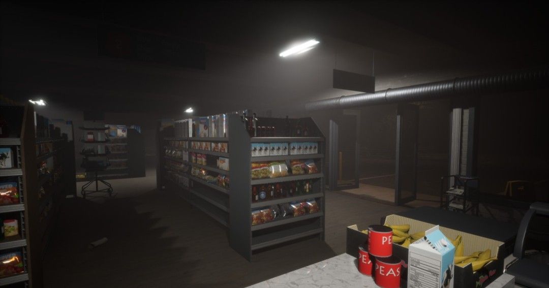 《Coincidences?》官方版